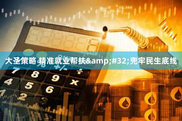 大圣策略 精准就业帮扶&#32;兜牢民生底线