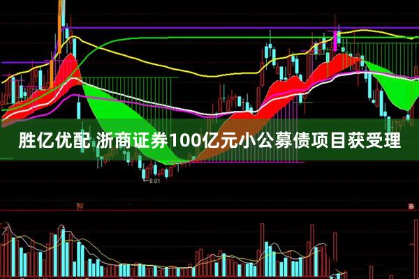 胜亿优配 浙商证券100亿元小公募债项目获受理