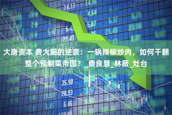 大唐资本 费大厨的逆袭：一锅辣椒炒肉，如何干翻整个预制菜帝国？_费良慧_林薇_灶台
