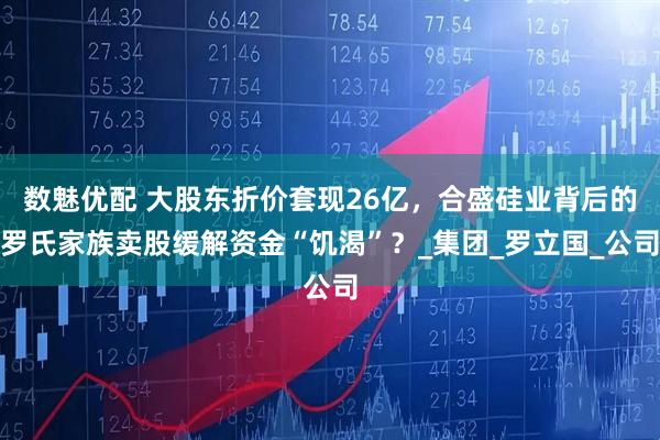 数魅优配 大股东折价套现26亿，合盛硅业背后的罗氏家族卖股缓解资金“饥渴”？_集团_罗立国_公司