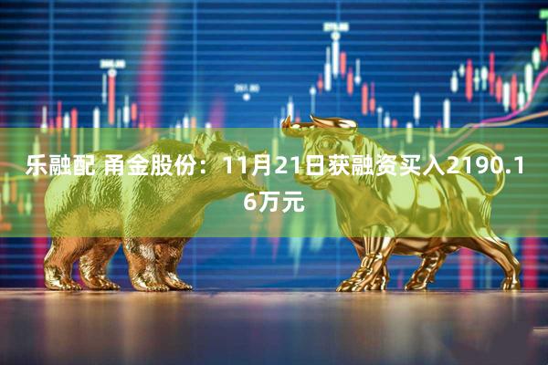 乐融配 甬金股份：11月21日获融资买入2190.16万元
