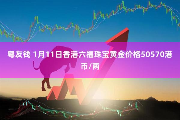 粤友钱 1月11日香港六福珠宝黄金价格50570港币/两