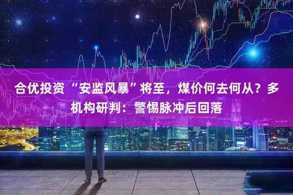 合优投资 “安监风暴”将至,煤价何去何从?多机构研判:警惕脉冲后回落